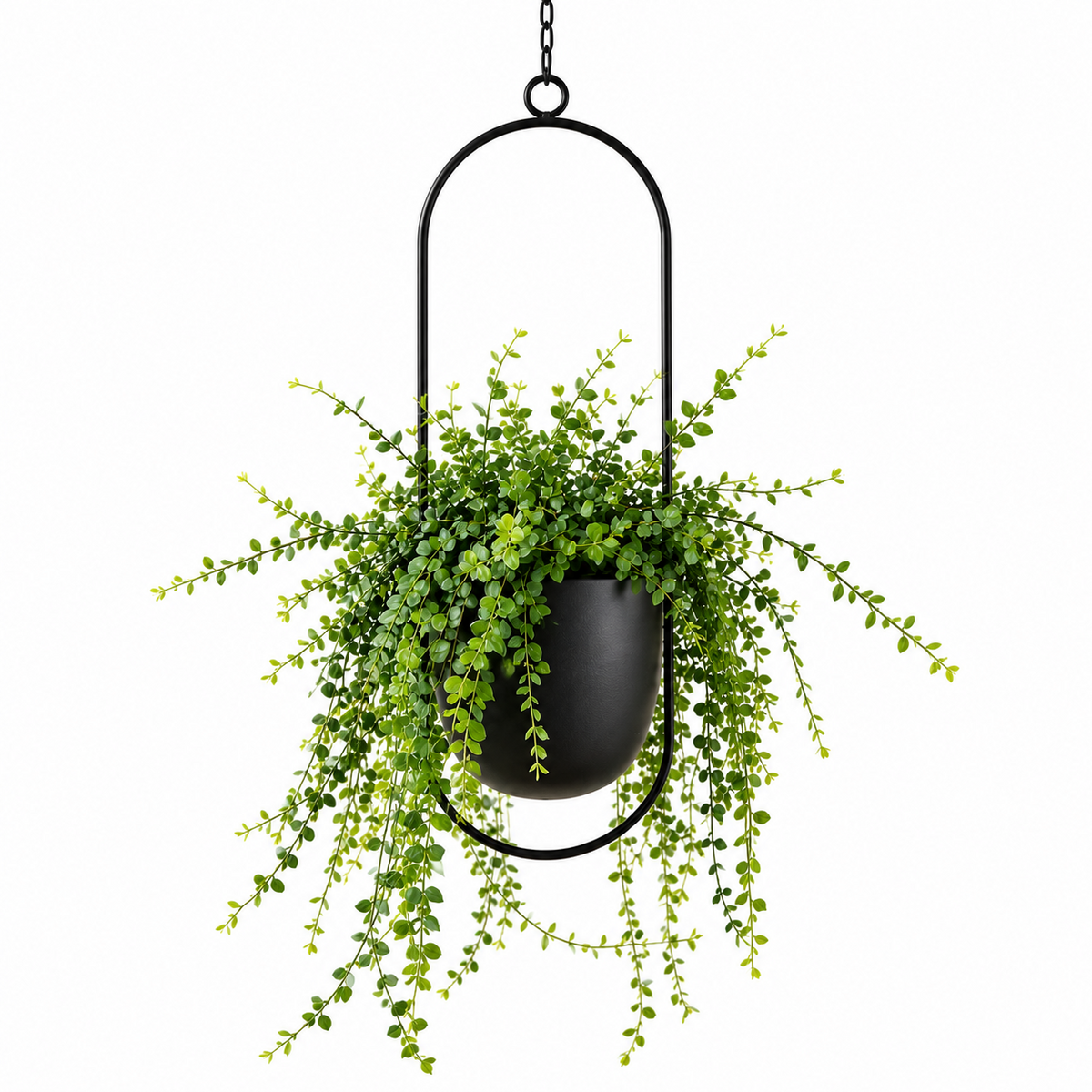 FloraFrame Hanging Planter | Modern Minimalist Iron Design