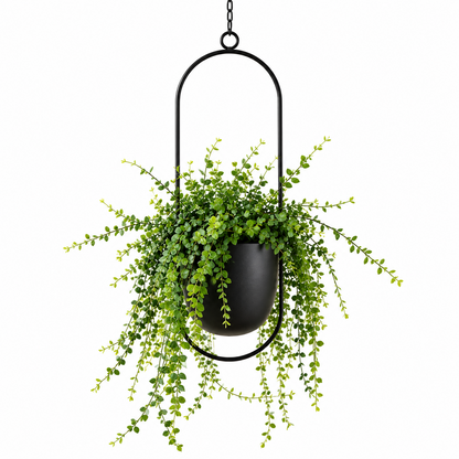 FloraFrame Hanging Planter | Modern Minimalist Iron Design