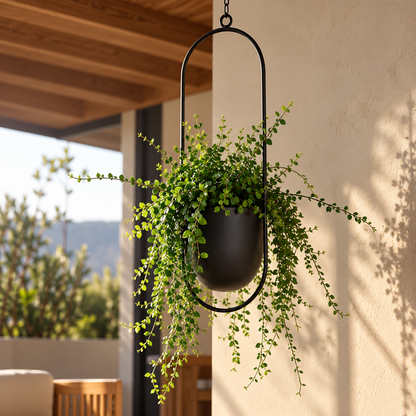 FloraFrame Hanging Planter | Modern Minimalist Iron Design